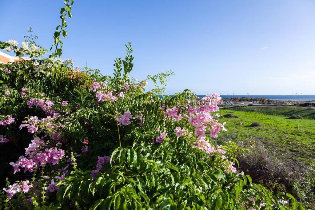 Tejita Beach Ла-Техита Экстерьер фото